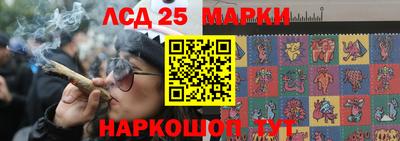 гашик Кимры