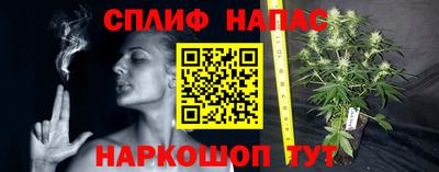 скорость Кинель