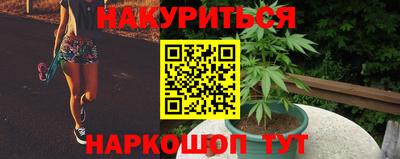 герыч Кингисепп
