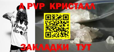 гашик Кимры