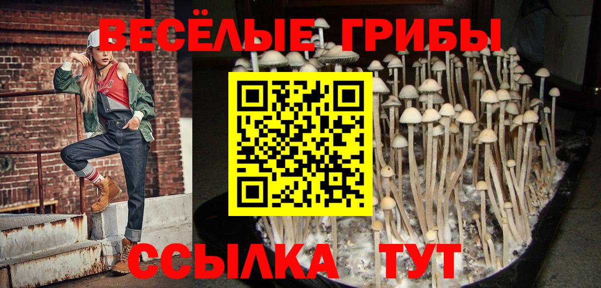 Котлас  купить наркоту  Галлюциногенные грибы MAGIC MUSHROOMS  Вход с VPN  Галлюциногенные грибы мицелий 